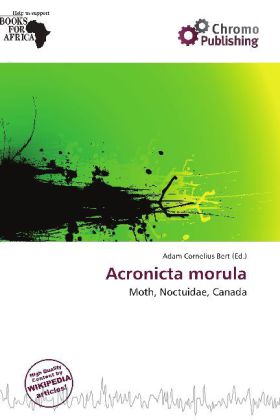 Acronicta morula