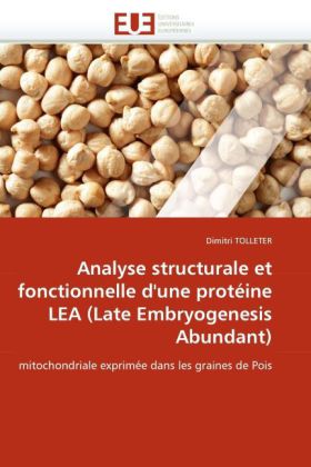 Analyse structurale et fonctionnelle d'une protéine LEA (Late Embryogenesis Abundant)