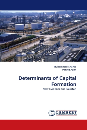 Determits of Capital Formation