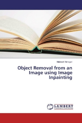 Object Removal from an Image using Image Inpainting