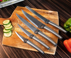 Messer-Set aus Edelstahl 5-teilig (TA)