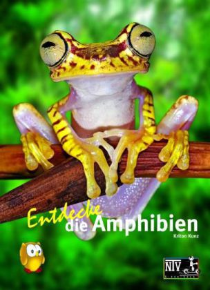 Entdecke die Amphibien