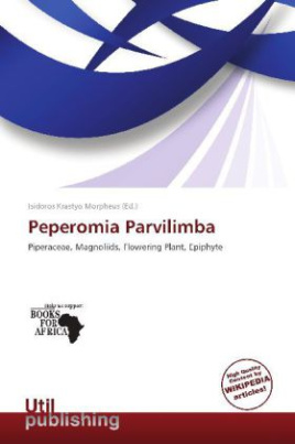 Peperomia Parvilimba