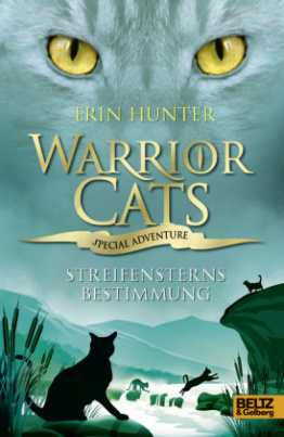 Warrior Cats, Special Adventure, Streifensterns Bestimmung
