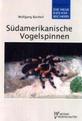 Südamerikanische Vogelspinnen