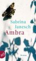 Ambra