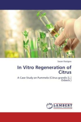 In Vitro Regeneration of Citrus