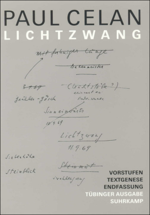 Lichtzwang