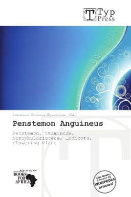 Penstemon Anguineus