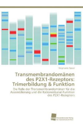 Transmembrandomänen des P2X1-Rezeptors: Trimerbildung & Funktion