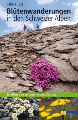 Blütenwanderungen in den Schweizer Alpen