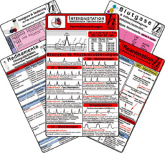 Intensiv-Station Karten-Set - Reanimation, Analgesie & Sedierung auf der Intensivstation, Herzrhythmusstörungen, Inkompatibilitäten intravenöser Medikamente, Blutgase & Differentialdiagnose, 5 Medizinische Taschenkarten