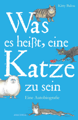 Was es heißt, eine Katze zu sein