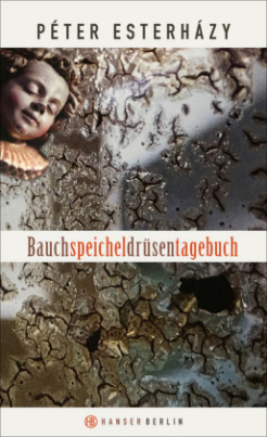 Bauchspeicheldrüsentagebuch