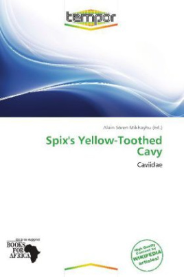 Spix's Yellow-Toothed Cavy