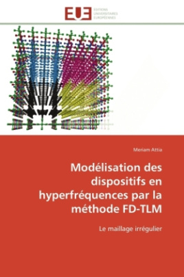 Modélisation des dispositifs en hyperfréquences par la méthode FD-TLM