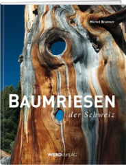 Baumriesen der Schweiz