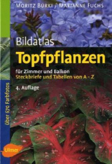 Bildatlas Topfpflanzen für Zimmer und Balkon