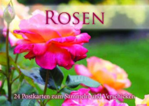 Rosen, Postkartenbuch