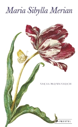 Maria Sibylla Merian - Neues Blumenbuch