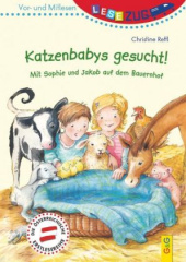 Katzenbabys gesucht!