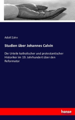 Studien über Johannes Calvin