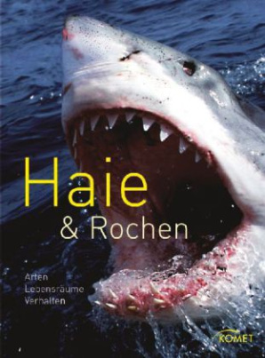 Haie & Rochen