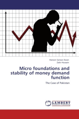 Micro foundations and stability of money demand function