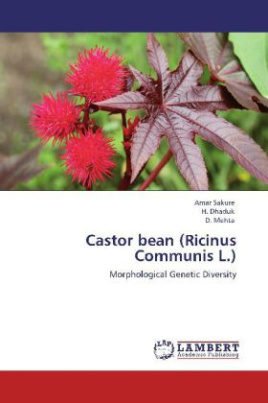 Castor bean (Ricinus Communis L.)