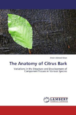 The Anatomy of Citrus Bark