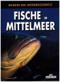 Fische im Mittelmeer