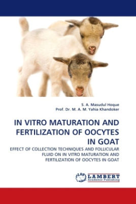 IN VITRO MATURATION AND FERTILIZATION OF OOCYTES IN GOAT