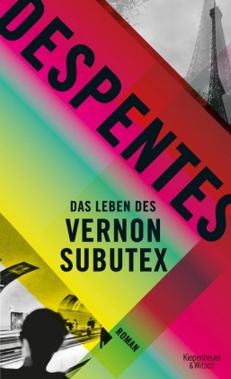 Das Leben des Vernon Subutex