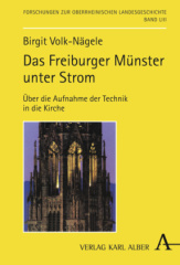 Das Freiburger Münster unter Strom