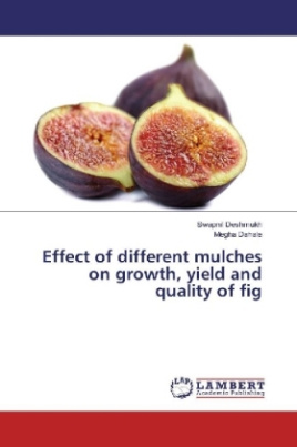 Effect of different mulches on growth, yield and quality of fig