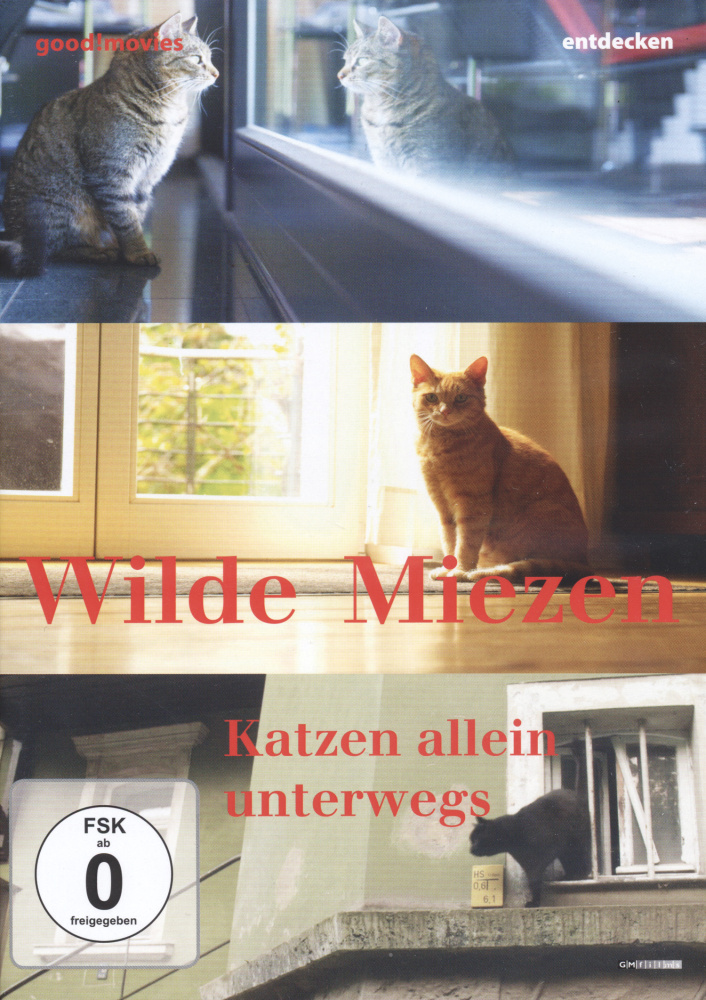 Wilde Miezen - Katzen allein unterwegs