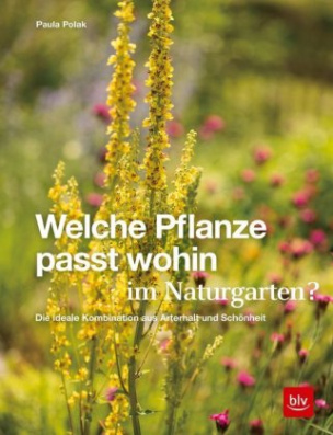 Welche Pflanze passt wohin im Naturgarten?