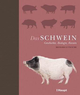 Das Schwein