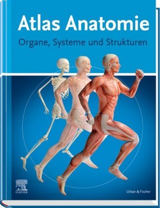 Atlas Anatomie