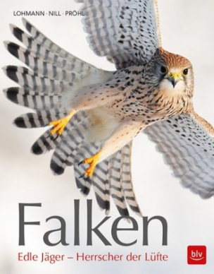 Falken