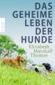 Das geheime Leben der Hunde