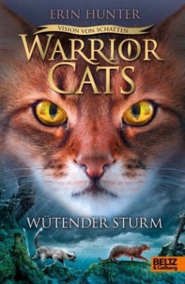 Warrior Cats - Vision von Schatten. Wütender Sturm