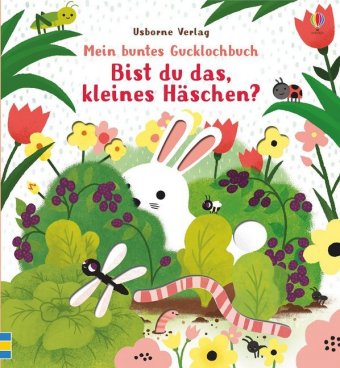 Mein buntes Gucklochbuch: Bist du das, kleines Häschen?