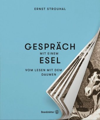 Gespräch mit einem Esel