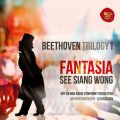 Fantasia - Beethoven Trilogy 1