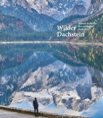 Wilder Dachstein