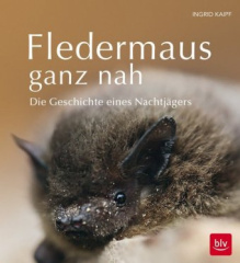 Fledermaus ganz nah