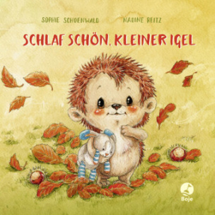 Schlaf schön, kleiner Igel (Mini-Ausgabe)