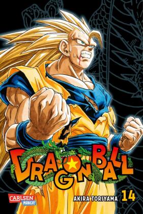 Dragon Ball Massiv. Bd.14