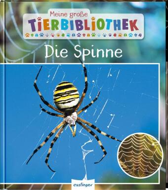 Meine große Tierbibliothek: Die Spinne